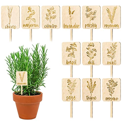 Whaline 24Pcs Wooden Plant Labels Sign Planted Herb Markers Garden Labels with Printed Herb Name Indoor Outdoor Herb Garden Stakes Nursery Plant Tags Garden Decoration Gift, 12 Styles
