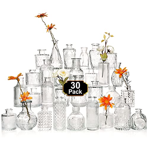 Arme Glass Bud Vase Set of 30 Pcs，Small Glass Vases for Flowers，Clear Bud Vases in Bulk，Vintage Vases for Centerpieces，Small Glass Bud Vase for Rustic Wedding Decorations，Home Table Flower Décor