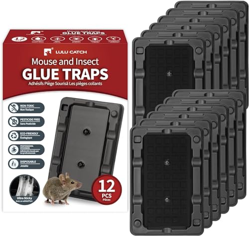 LULUCATCH Mouse & Insect Traps 12 Pack, Heavier Sticky Traps with Non-Toxic Glue for Small Mice & Insects. Sticky Mouse Traps Indoor, Easy to Set, Safe to Children & Pets