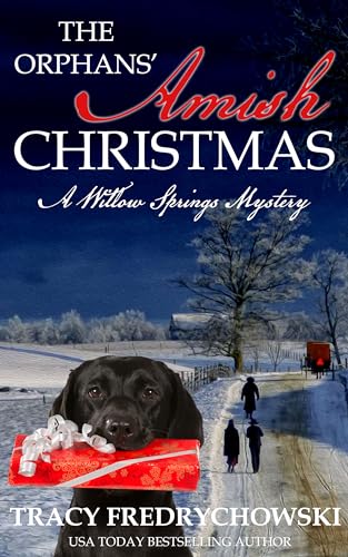 The Orphans’ Amish Christmas: A Willow Springs Amish Mystery Novella