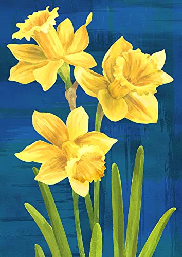 Toland Home Garden 1112545 Daffodils On Blue Spring Flag 12x18 Inch Double Sided Spring Garden Flag for Outdoor House Flower Flag Yard Decoration