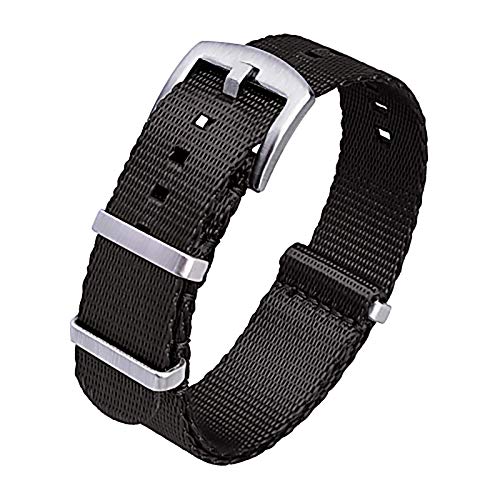 Ritche Nylon Watch Strap with Heavy Buckle 18mm 20mm 22mm Premium Seat Belt Nylon Watch Bands for Men Women, Valentine's day gifts for him or her
