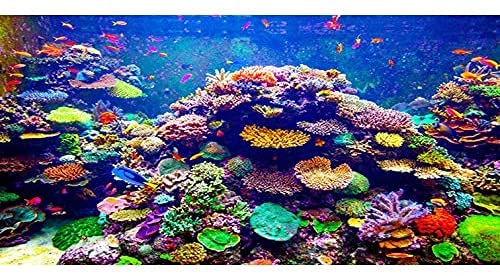 AWERT Undersea Theme Aquarium Background 36x18 inches Polyester Background Colorful Coral Tropical Fish Underwater World Fish Tank Background