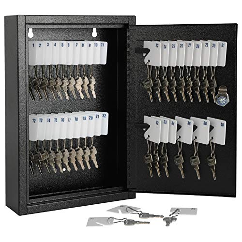 KYODOLED Key Storage Lock Box with Key, Locking Key Cabinet, 40 Key Holder Box Wall Mount with Key Lock, Key Hooks & Tags Key Labels, 2.5' D x 8.1' W x 12.1' H (Black,40 Key)