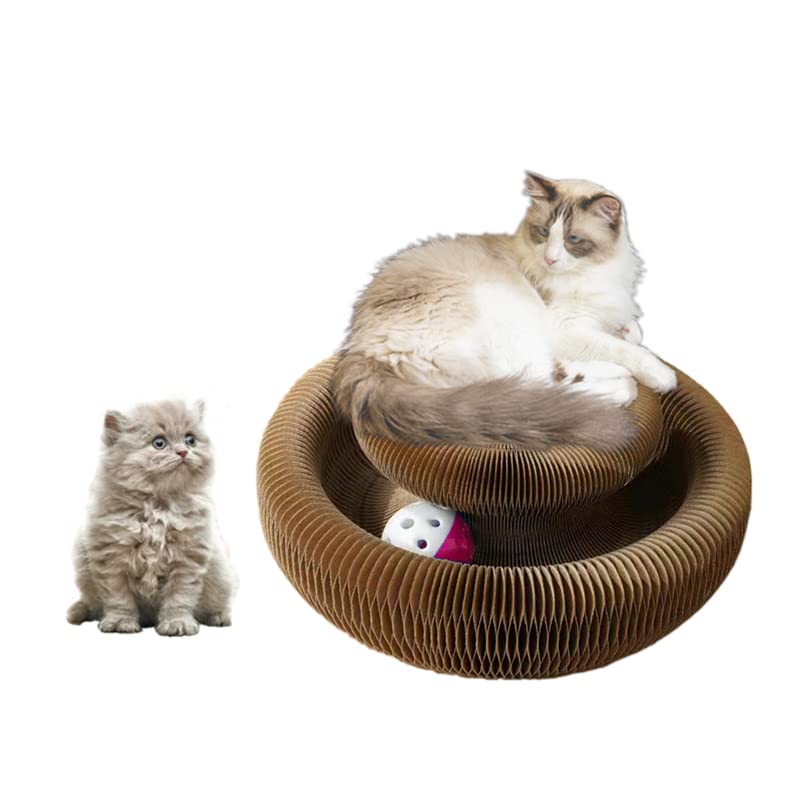 Enkman Magic Organ Cat Scratcher Board Cat Ball Adventure The Ultimate Interactive Mental Physical Exercise for Indoor Cats Toy