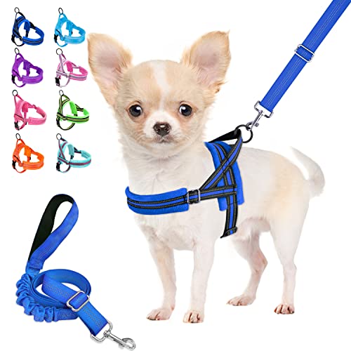 Lukovee Dog Harness and Leash Set, Soft Padded Small Dog Harness, Neck & Chest Adjustable Reflective Vest Puppy Harness with 4ft Lightweight Anti-Twist Dog Leash for Small Dogs (XX-Small, Blue)