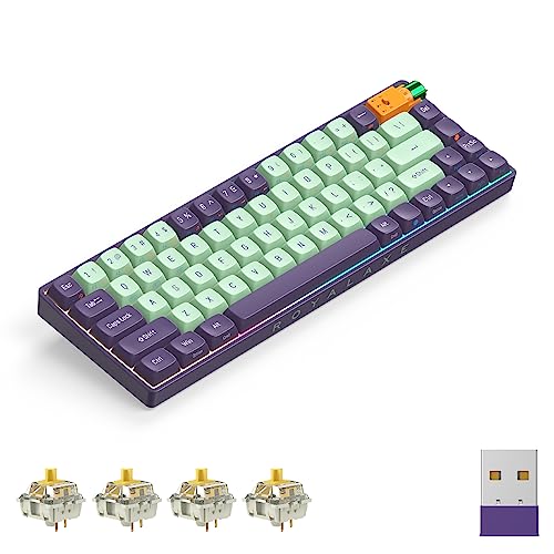 ROYALAXE R68 Wireless Mechanical Keyboard, Hot-swappable Wired/Bluetooth 5.0/2.4G Wireless Keyboard with RGB Light for Windows & Mac, PBT Keycaps, Gateron G Yellow Pro Switch, Starry Cyan
