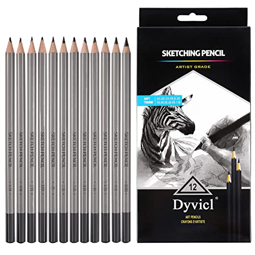 Dyvicl Professional Drawing Sketching Pencil Set - 12 Pieces Drawing Pencils 10B, 8B, 6B, 5B, 4B, 3B, 2B, B, HB, 2H, 4H, 6H Graphite Pencils for Beginners & Pro Artists