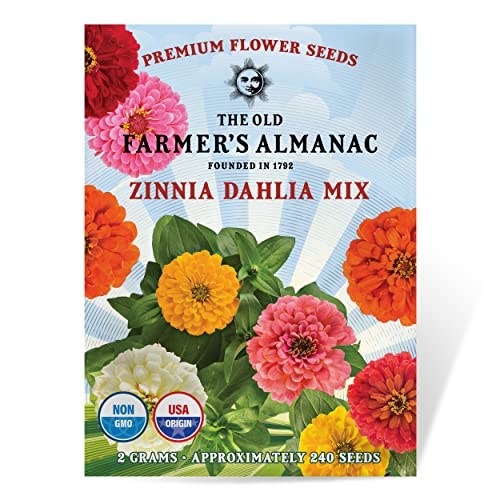 The Old Farmer's Almanac Zinnia Seeds (Dahlia Mix) - Approx 200 Flower Seeds - Premium Non-GMO, Open Pollinated, USA Origin