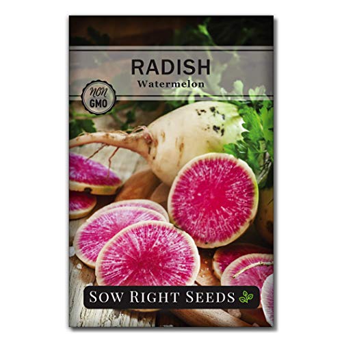 Sow Right Seeds - Watermelon Radish Seed for Planting - Non-GMO Heirloom Packet with Instructions to Plant a Home Vegetable Garden - Unique & Rare Veggie, Watermelon-Like Coloring When Cut (1)