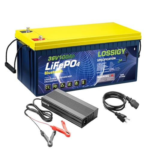 LOSSIGY 36V 100Ah LiFePO4 Bluetooth Battery with 36V 10A Lithium Battery Charger, 0V Starting and Fast Charged, Prefect for Glof Cart or Trolling Motor