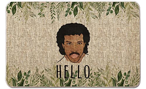 GAGEC Hello Funny Door Mats Outdoor is It Me You're Looking for Welcome Doormats Entrance Rug Farmhouse Decor Home Kitchen Floor Front Door Mats 17 x 27 Inch