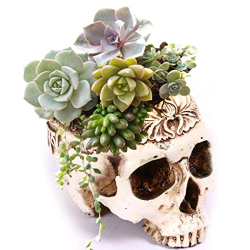 Simcat Resin Skull Planter Flower Succulents Pot Carved Skeleton Flowerpot Sugar Cactus Planter Pots Holder Candy Bowl Halloween Statue Sculpture Skeleton Decor for Home Office