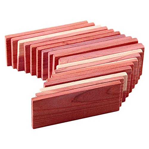 Cedar Space Cedar Blocks for Closet Storage,100% Aromatic Red Ceder Blocks Cedar Planks Chips 16pcs for Closet Drawers