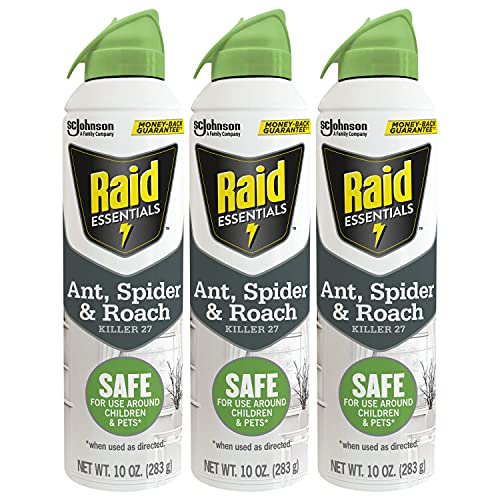 Raid Essentials Ant Spider and Roach Killer Aerosol Spray, Kills Insects Quickly, for Indoor Use 10 Ounce (Pack of 3)