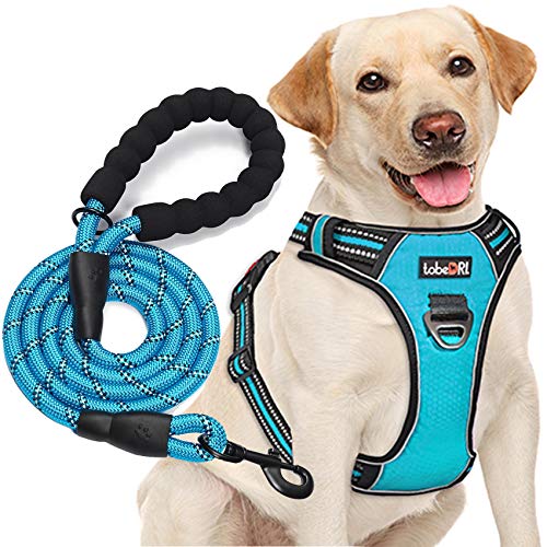 tobeDRI No Pull Dog Harness Adjustable Reflective Oxford Easy Control Medium Large Dog Harness with A Free Heavy Duty 5ft Dog Leash (L (Neck: 18'-25.5', Chest: 24.5'-33'), Blue Harness+Leash)