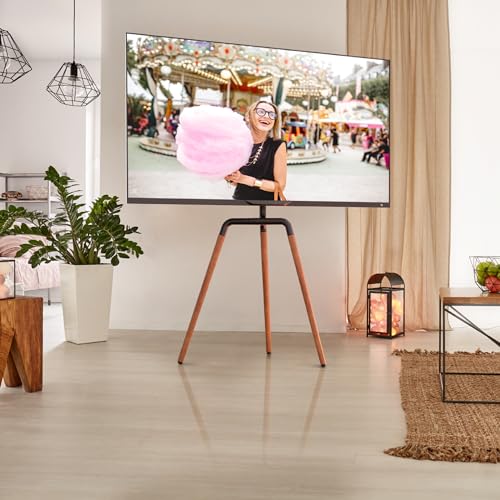 ProMounts Modern TV Floor Stand, Universal TV Mount with 90° Swivel, Corner TV Easel with Tripod Base for 47-72 Inches, LED LCD OLED Flat and Curved Screens