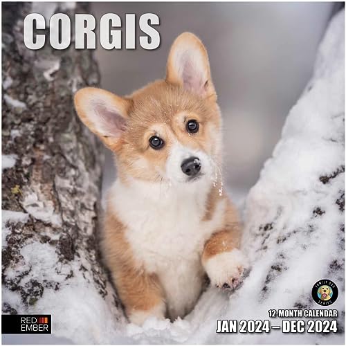 RED EMBER Corgis 2024 Hangable Monthly Wall Calendar | 12' x 24' Open | Thick & Sturdy Paper | Giftable | Cute Dog | Corgi Happiness Starts Here