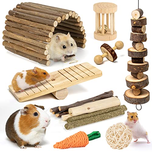 Sofier Hamster, Guinea Pig Toys Accessories Natural Chews for Teeth Rabbit Bunny Rat Chinchilla Hideout Ball Apple Wood Timothy Hay Sticks