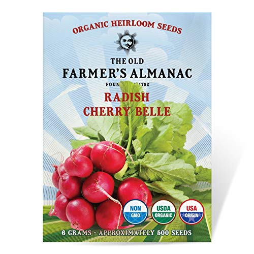 The Old Farmer's Almanac Organic Radish Seeds (Cherry Belle) - Approx 400 Seeds - Certified Organic, Non-GMO, Open Pollinated, Heirloom, USA Origin