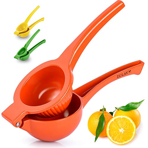 List of Top 10 Best citrus juicer america's test kitchen in Detail