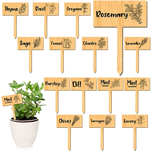 15 Pieces Herb Markers Herb T Type Tags Garden Labels with Printed Herb Name Waterproof Plant Marker Stakes for Indoor Outdoor Seed Flowerpot Potted Herbs (Herb, Wood)