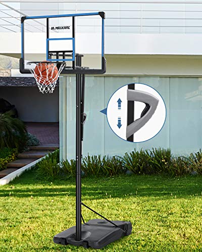 List of Top 10 Best driveway basketball hoop in Detail