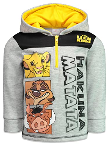Disney Lion King Simba Pumbaa Timon Toddler Boys Half-Zip Hoodie Grey 4T