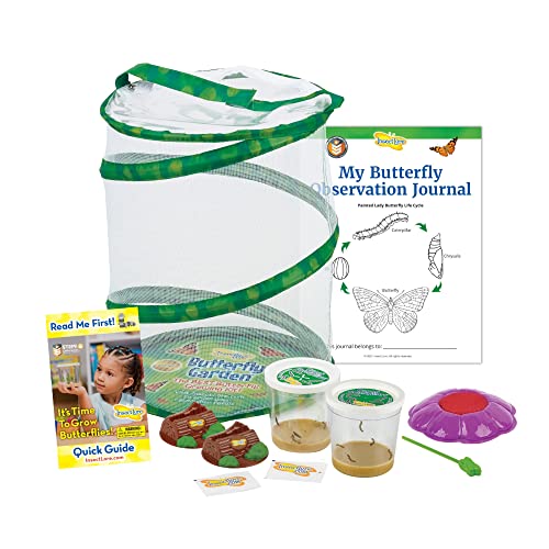 Insect Lore Butterfly Garden: Original Habitat and Two Live Cups of Caterpillars with STEM Butterfly Journal – Life Science & STEM Education – Butterfly Science Kit