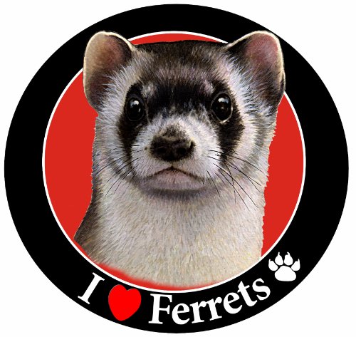 E&S Pets I Love Ferrets Car Magnet with Realistic Looking Ferret Photograph in The Center Covered in UV Gloss for Weather and Fading Protection Circle Shaped Magnet Measures 5.25 Inches Diameter