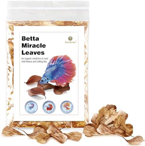 SunGrow 50 pcs Catappa Indian Almond Leaves for Betta Fish Tank Aquarium, 2” Water Conditioner Leaves, Leaf Also Suitable for Shrimp, Goldfish, Guppy and Frogs