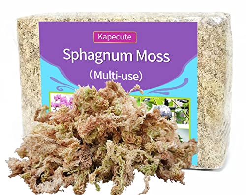 Kapecute Sphagnum Moss 34QT Perfect for Plant Propagation, Great Orchid Potting Mix, Help with Maintain Humidity, 10oz