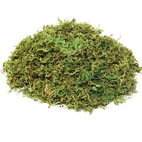 Fake Moss Artificial Moss for Potted Plants Greenery Moss(4OZ) Home Decor Fairy Garden Crafts Wedding Decoration (Fresh Green)