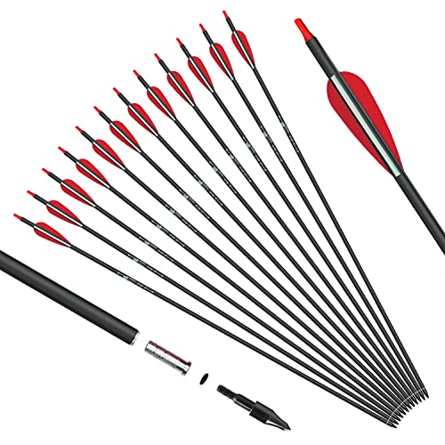 KESHES Archery Carbon Arrows for Compound & Recurve Bows - 30 inch Youth Kids and Adult Target Practice Bow Arrow - Removable Nock & Tips Points (12 Pack) (Red)