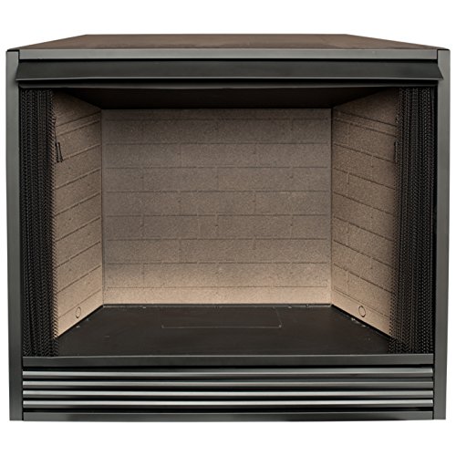 ProCom Dual Fuel Ventless Gas Firebox Insert with Mantle, Use with Natural Gas or Liquid Propane, Black