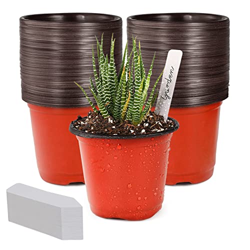 TDHDIKE 4' Small Plastic Plant Nursery Pot/Pots (100pcs Pots and 100pcs Plant Labels) Seedlings Flower Plant Container (Red) Seed Starting Pots Indoor Outdoor