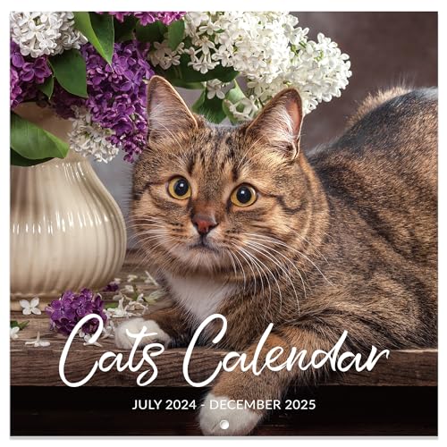 Calendar 2024-2025 - Wall Calendar 2024-2025, Jul. 2024 - Dec. 2025, 12' x 24' (Open), 2024-2025 Wall Calendar with Unruled Blocks - Cutie Cat