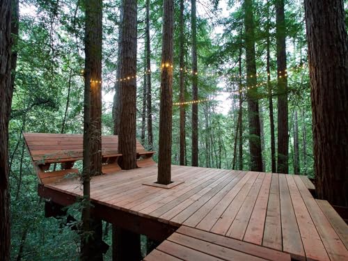 Tree Deck Plans