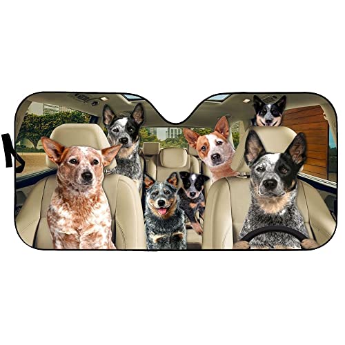 Australian Cattle Dog Windshield Sun Shade Trendy Breathable Car Window Sun Shade Foldable Keep Your Car Cool 51x27.6in for Most Sedans SUV Truck Automotive Passenger Car Minivan Truck