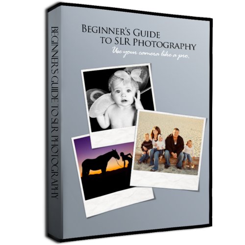Beginner's Interactive Video Guide to Your DSLR Camera & Photography Training DVD (2013)