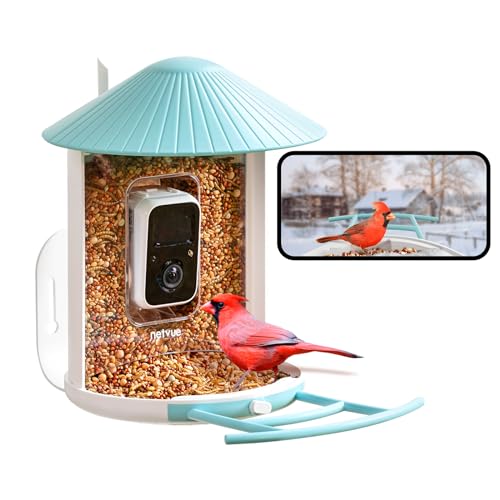 NETVUE Birdfy Smart Bird Feeder with Camera, Bird Watching Camera, Auto Capture Bird Videos & Motion Detection, Wireless Camera Ideal Gift for Bird Lover (Lite)