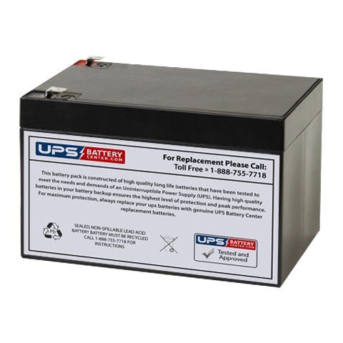 FirstPower FP12100 Sealed Lead Acid - AGM - VRLA Replacement Battery