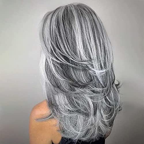 XIUFAXIRUSI XIUFAXIRUSI Grey Long Layered Wigs for Women Highlight Silver Wavy Wigs Natural Synthetic Hair Wig for Daily Party Use