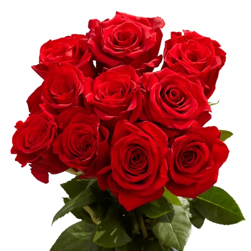 50 Red Roses- Fresh Cut Flowers- Beautiful Gift