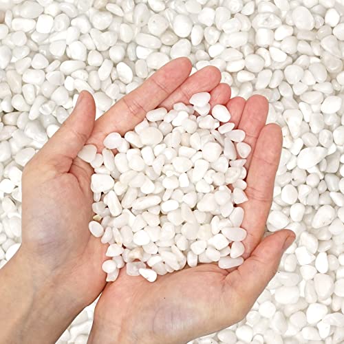 Natural Polished Decorative White Pebbles - Small Stones 3/8' Gravel Size,River Rocks Pebbles for Plants, Home DIY Decor,Aquarium Gravel,Vase Fillers,Fairy Garden,Landscaping Outdoor Stones.