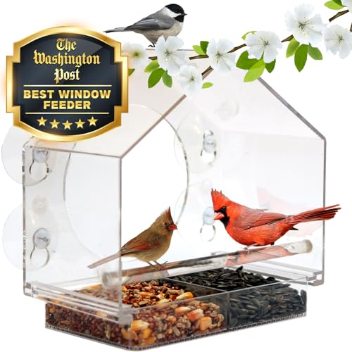 Nature Anywhere Transparent Acrylic Window Bird Feeders for Outdoors - Enhanced Suction Grip, Bird Watching for Cats, Easy-to-Clean, Outdoor Birdhouse Feeder