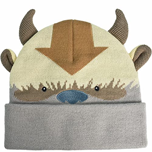 Concept One Unisex Adult Avatar The Last Airbender Appa Acrylic Knitted Winter with Cuff Beanie Hat, Multi, One Size US