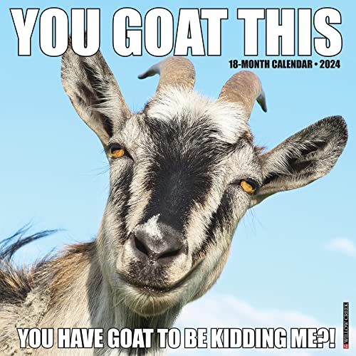 Willow Creek Press You Goat This Monthly 2024 Wall Calendar (12' x 12')