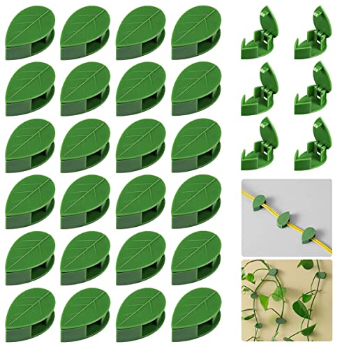 QRWT 30 Pieces Plant Climbing Wall Fixture Clips Self-Adhesive Plant Fixer Invisible Wall Vines Fixing Clips Hook Plant Vine Traction Cable Wire Fixing