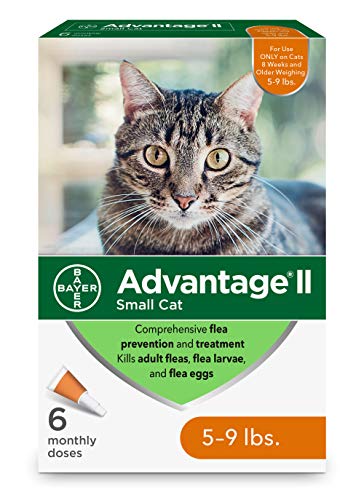 list-of-top-10-best-over-the-counter-flea-medicine-for-cats-in-detail